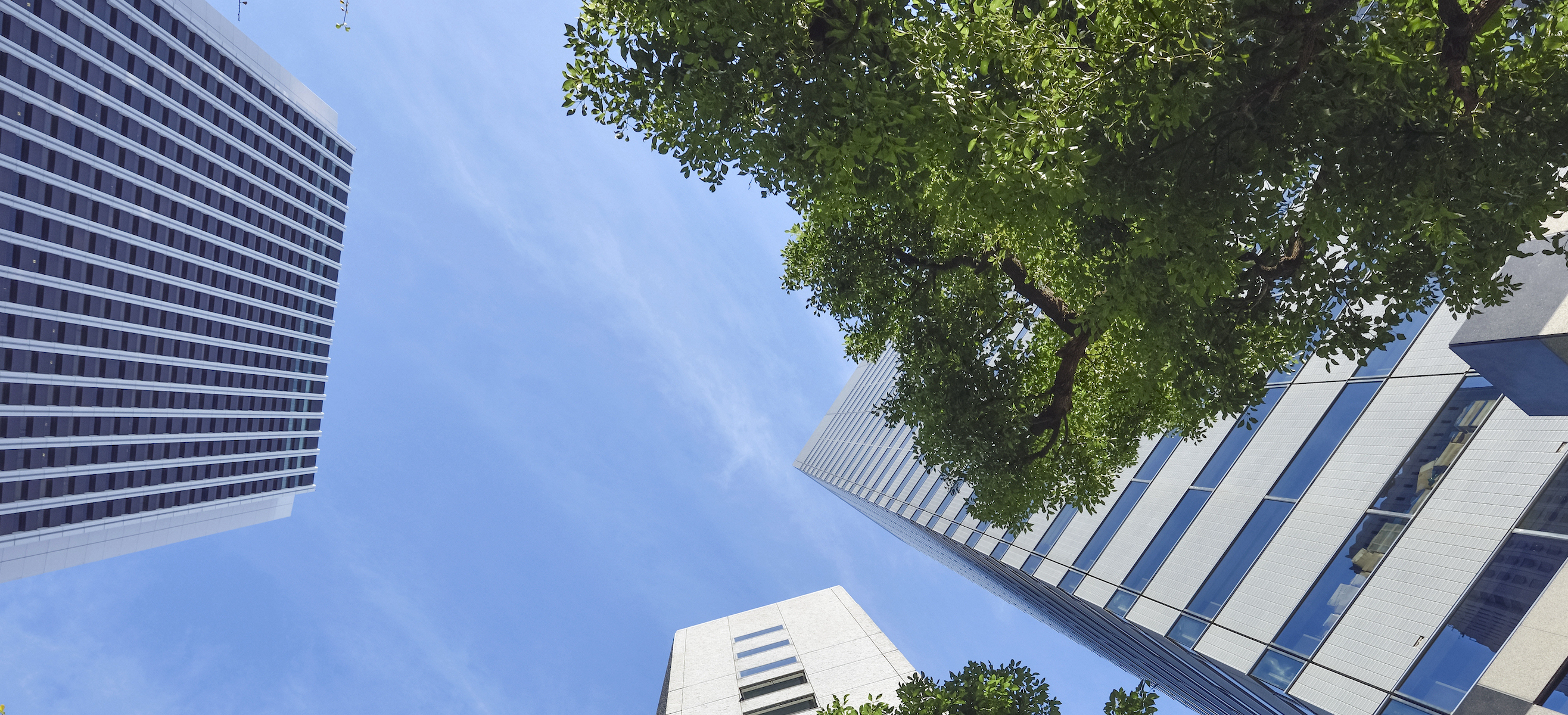 キングネクストの会社